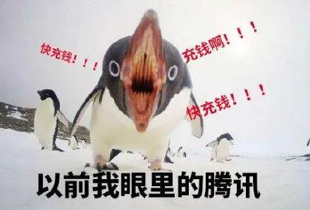 爆料人笑出鹅叫声视频 第1张 爆料人笑出鹅叫声视频 第1张